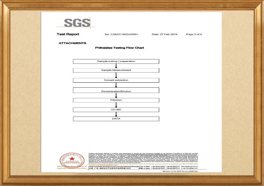 拓东荣誉资质证书